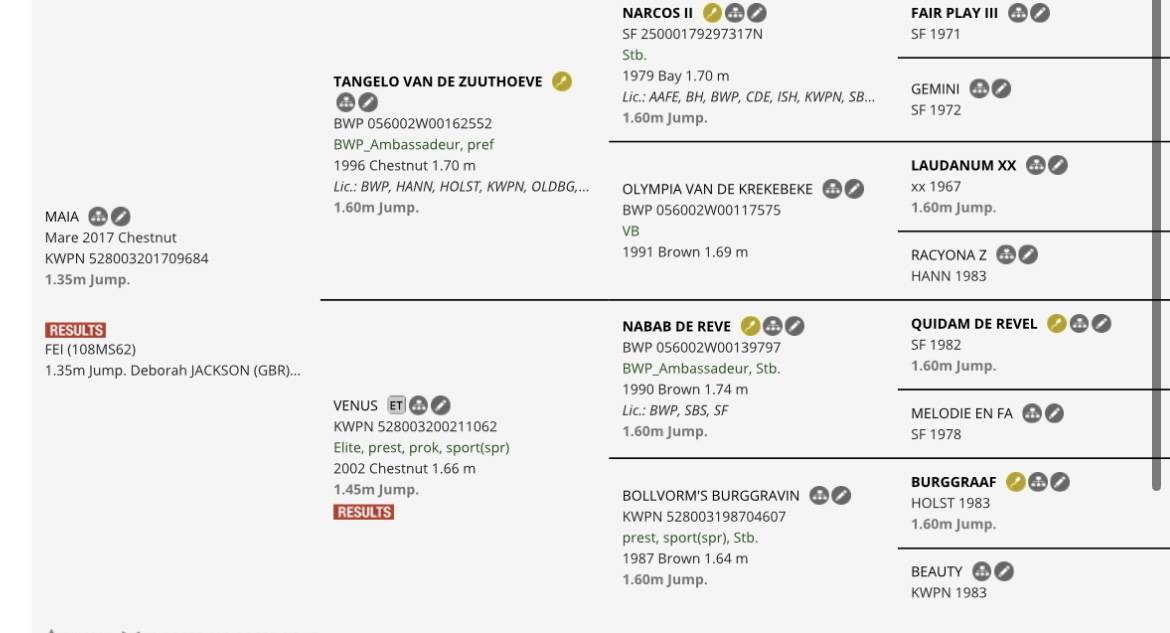Merrie Selle Français Te koop 2021 Vos ,  Colorit