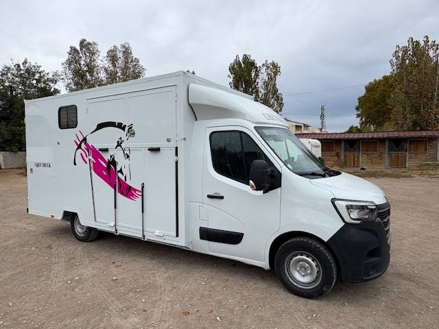 Kleine paardenvrachtwagen (B rijbewijs) Renault  2021 Tweedehands