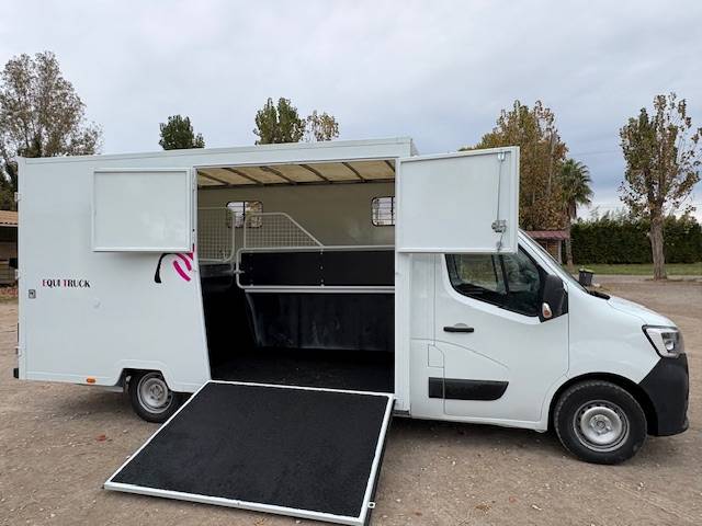 Kleine paardenvrachtwagen (B rijbewijs) Renault  2021 Tweedehands