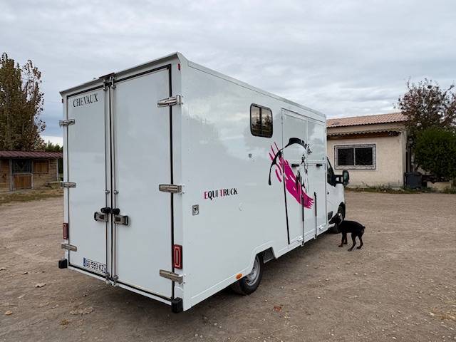 Kleine paardenvrachtwagen (B rijbewijs) Renault  2021 Tweedehands