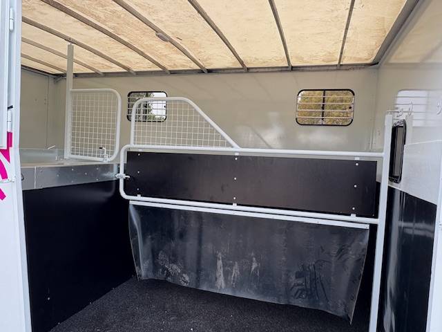 Kleine paardenvrachtwagen (B rijbewijs) Renault  2021 Tweedehands