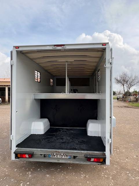 Kleine paardenvrachtwagen (B rijbewijs) Renault  2020 Tweedehands