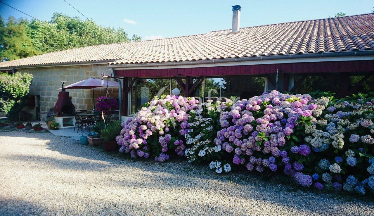 Groente exploitatie Koop Lot-et-Garonne