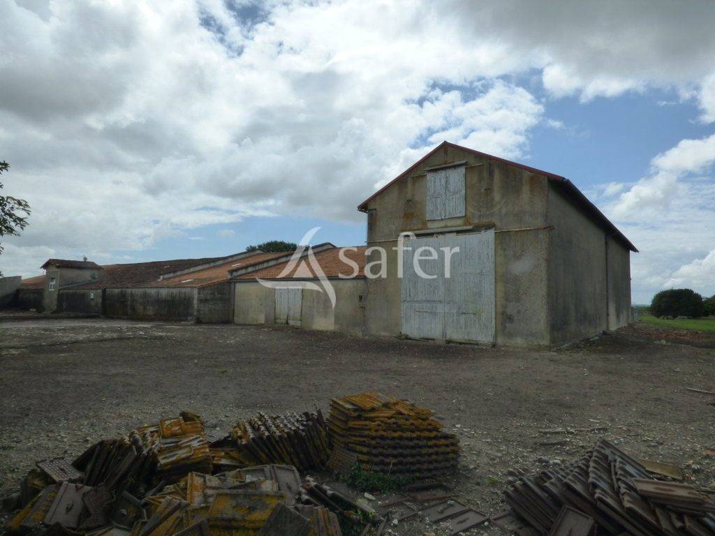 Landbouw bedrijf Koop Charente-Maritime