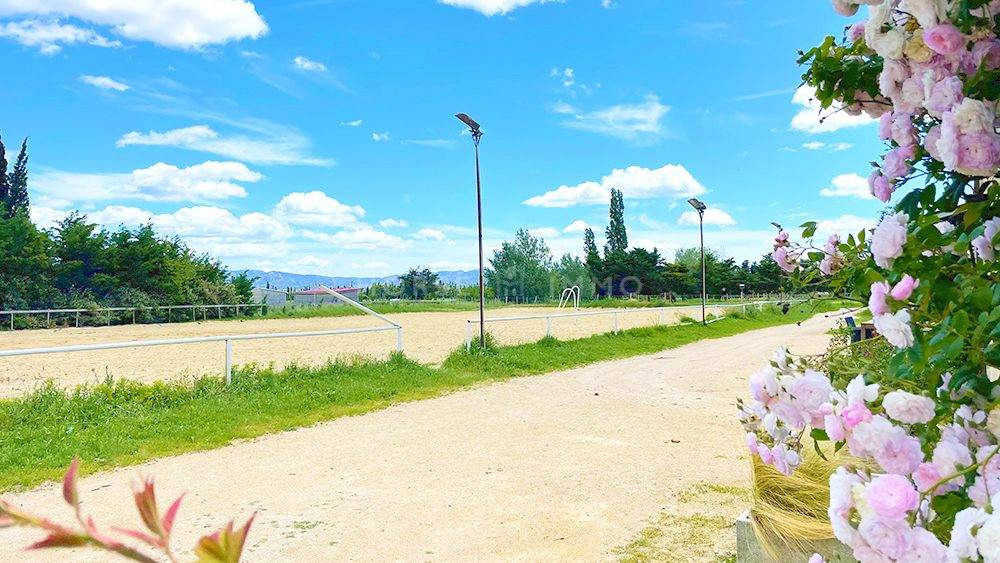 Hippisch vastgoed Koop Bouches-du-Rhône