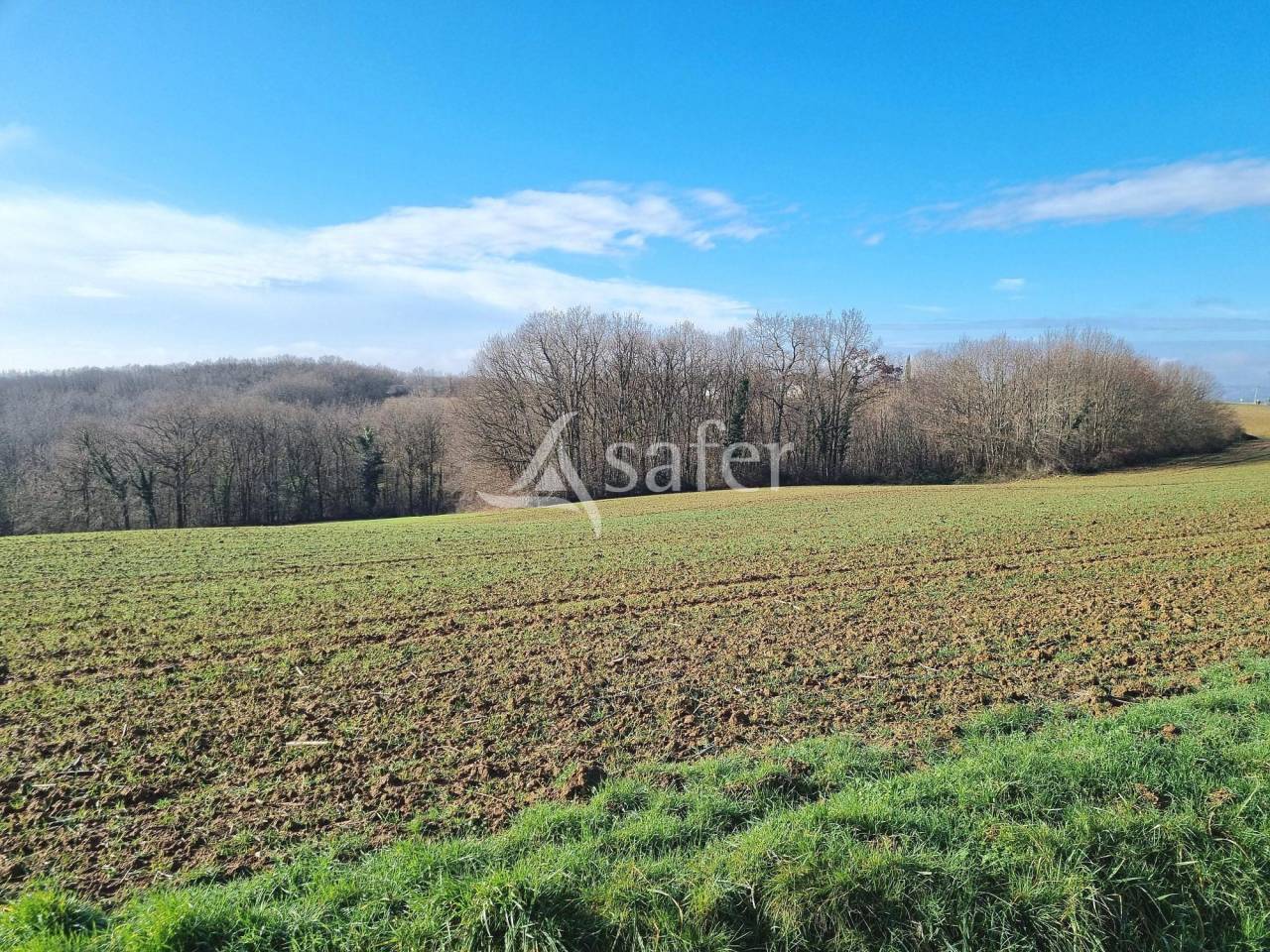 Schapen exploitatie Koop Tarn-et-Garonne