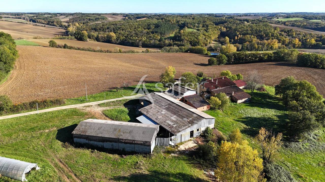 Schapen exploitatie Koop Tarn-et-Garonne
