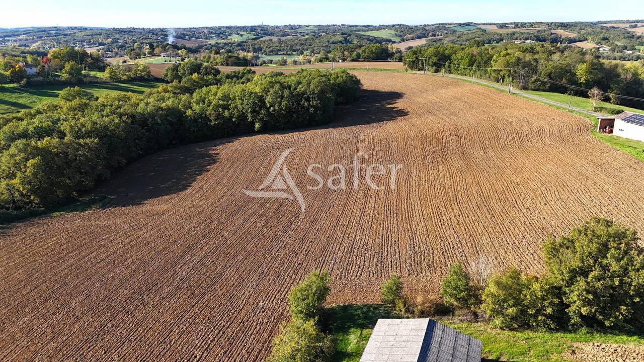 Schapen exploitatie Koop Tarn-et-Garonne