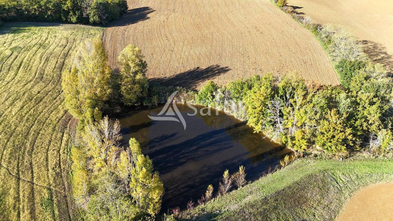 Schapen exploitatie Koop Tarn-et-Garonne