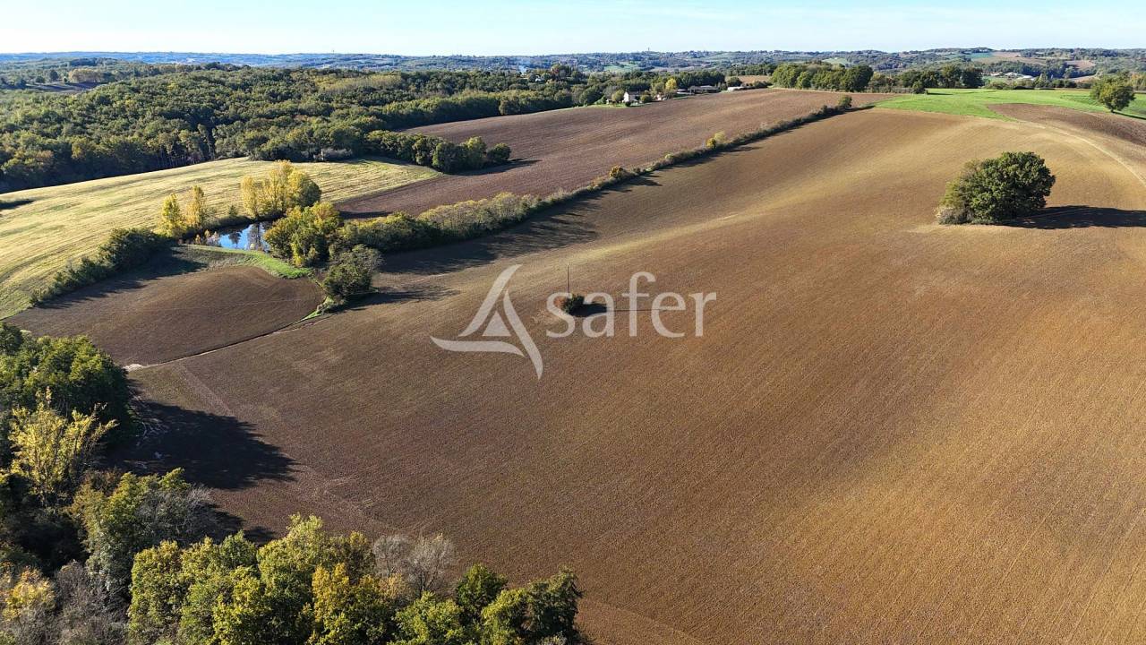 Schapen exploitatie Koop Tarn-et-Garonne