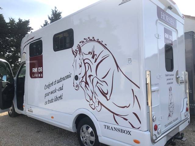 Kleine paardenvrachtwagen (B rijbewijs) Trans Box Living 2025 Tweedehands