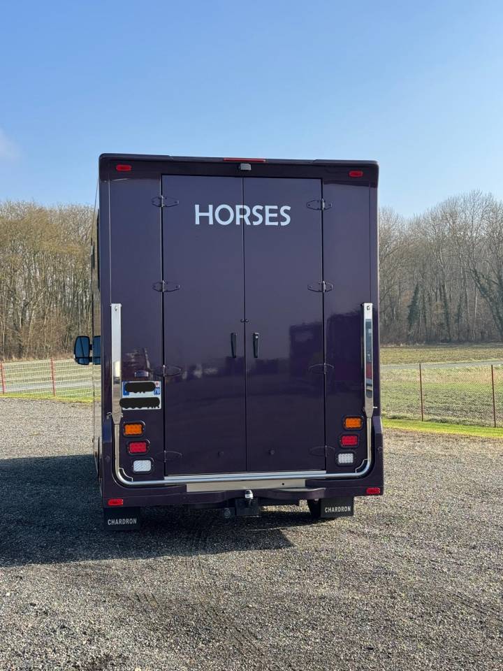 Kleine paardenvrachtwagen (B rijbewijs) Chardron Renault Master 2023 Tweedehands