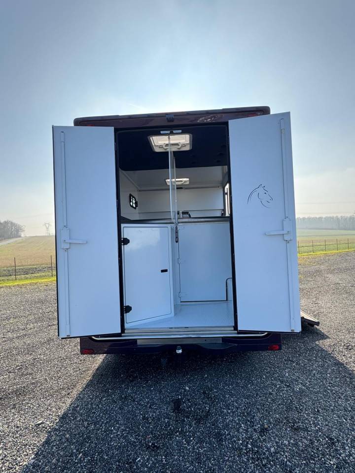 Kleine paardenvrachtwagen (B rijbewijs) Chardron Renault Master 2023 Tweedehands