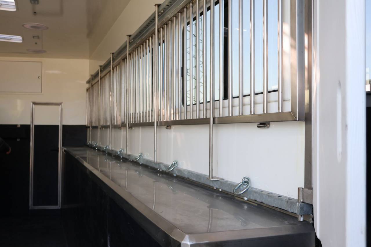 Zware paardenvrachtwagen (groot rijbewijs) Andere merken MAN TGS 26.430 PAILLARD 8 CHEVAUX POP OUT 2025 Nieuw