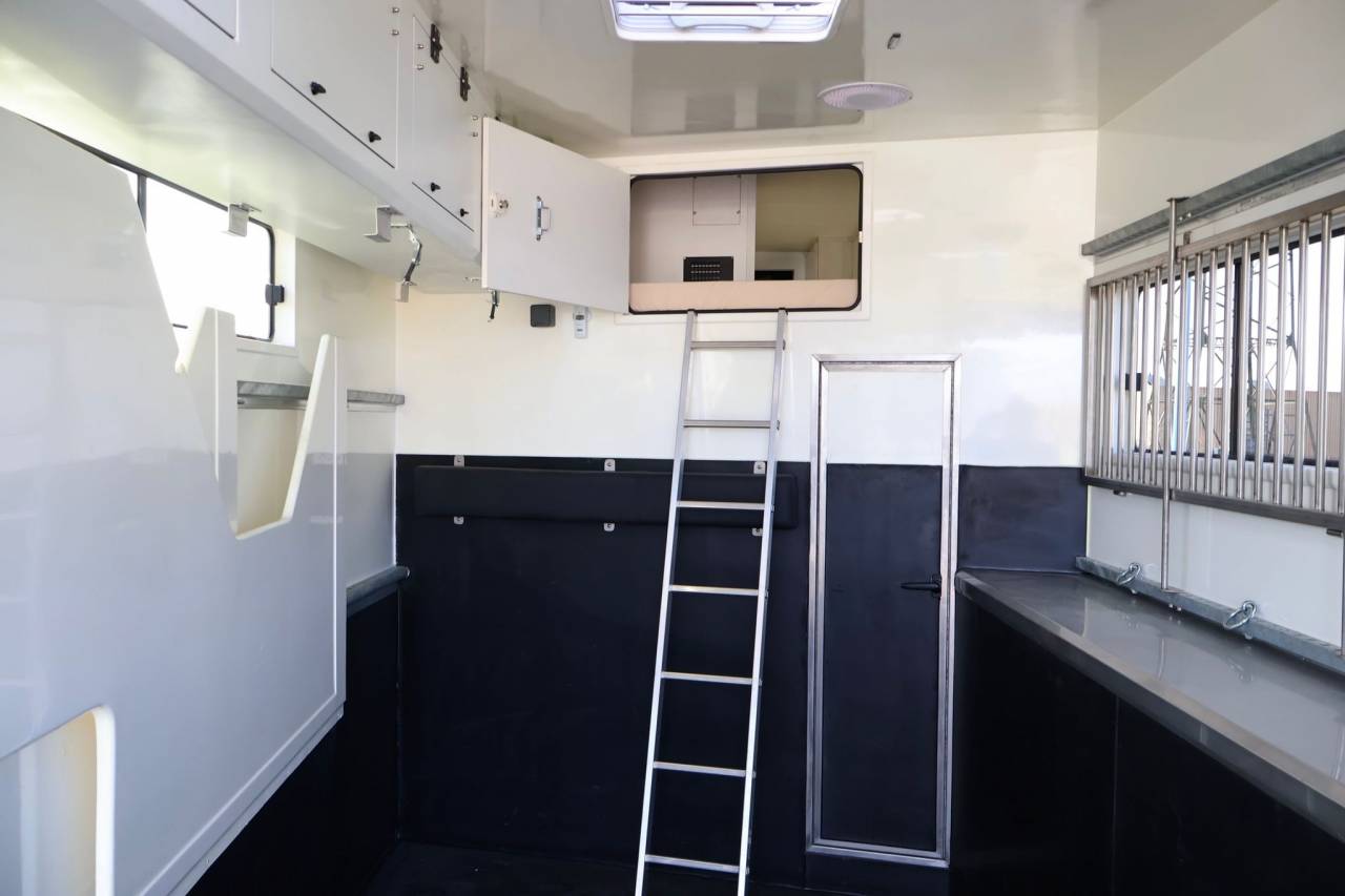 Zware paardenvrachtwagen (groot rijbewijs) Andere merken MAN TGS 26.430 PAILLARD 8 CHEVAUX POP OUT 2025 Nieuw