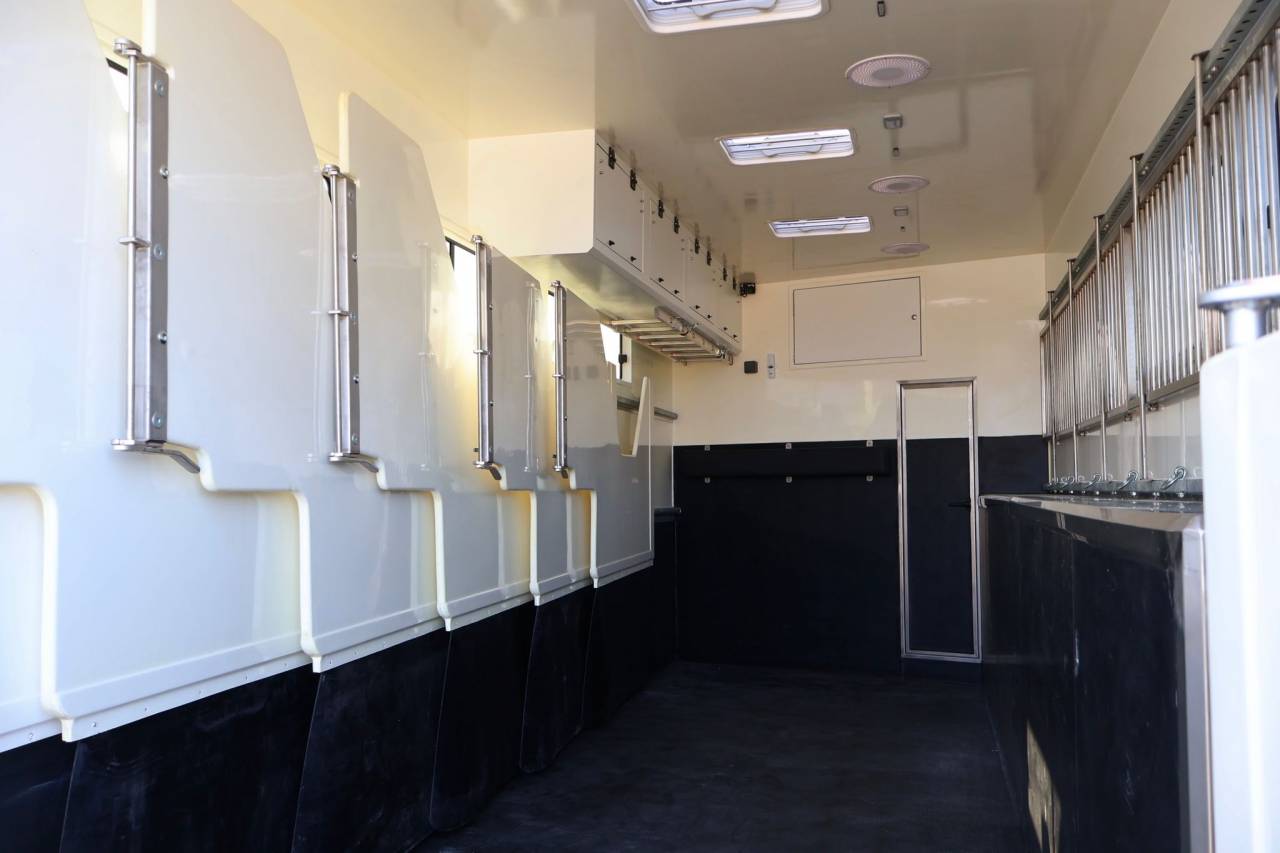 Zware paardenvrachtwagen (groot rijbewijs) Andere merken MAN TGS 26.430 PAILLARD 8 CHEVAUX POP OUT 2025 Nieuw