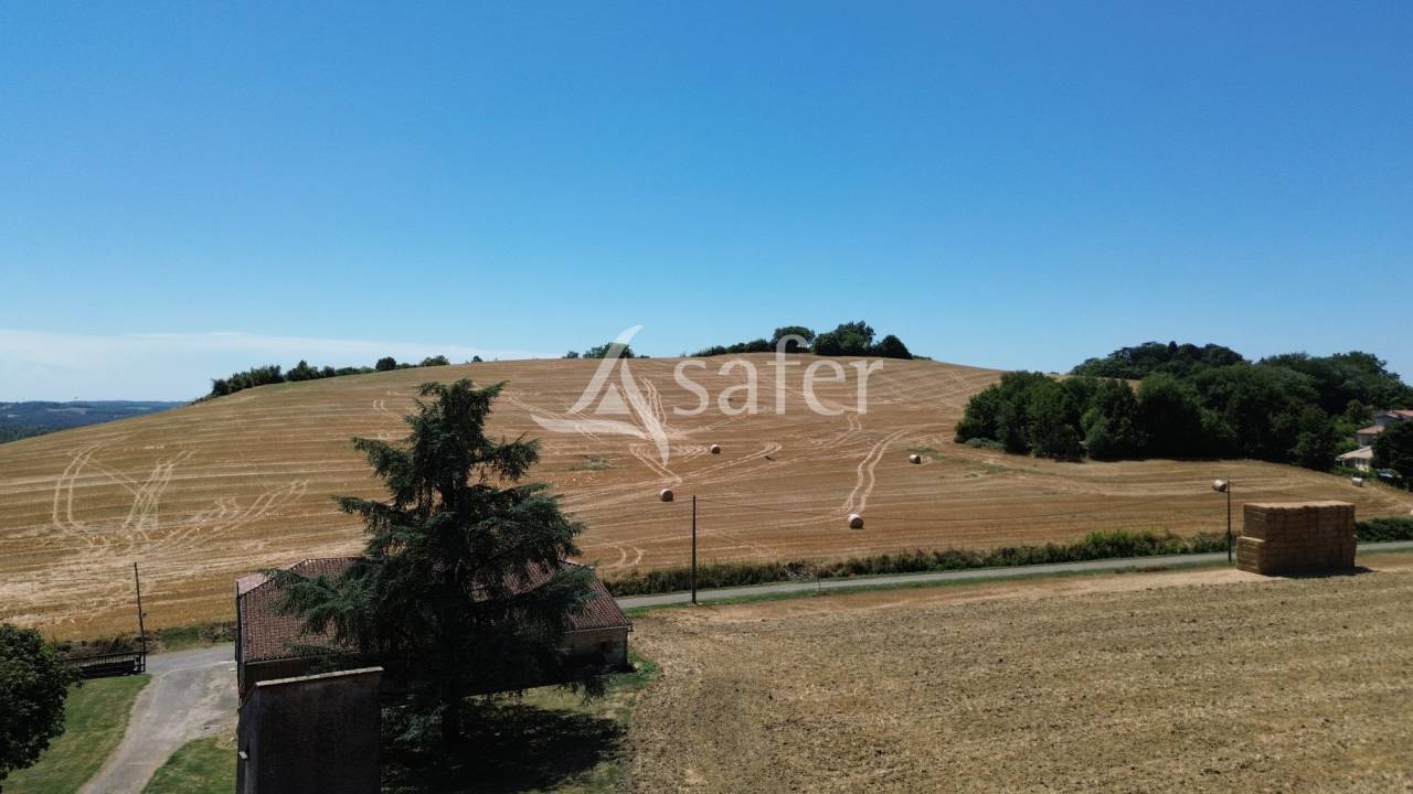 Hippisch vastgoed Koop Tarn-et-Garonne