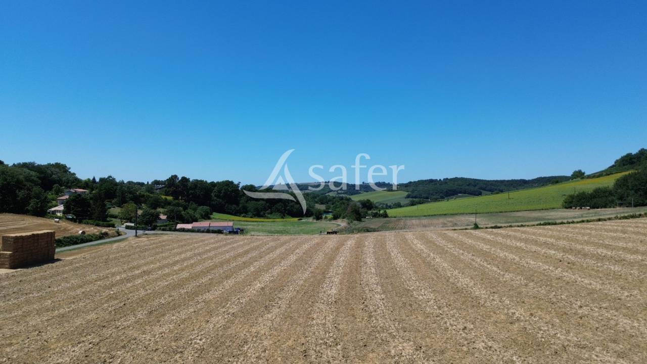 Hippisch vastgoed Koop Tarn-et-Garonne