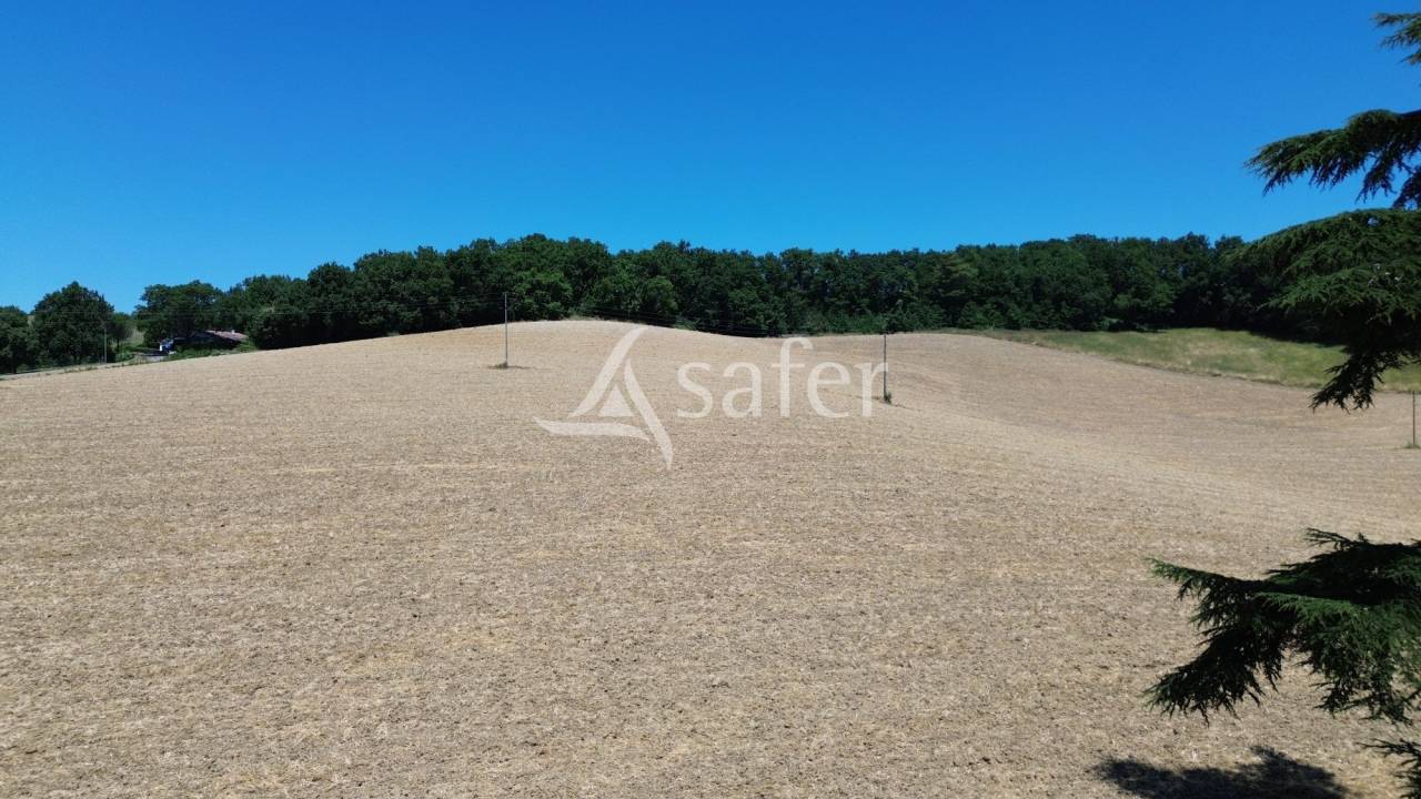 Hippisch vastgoed Koop Tarn-et-Garonne