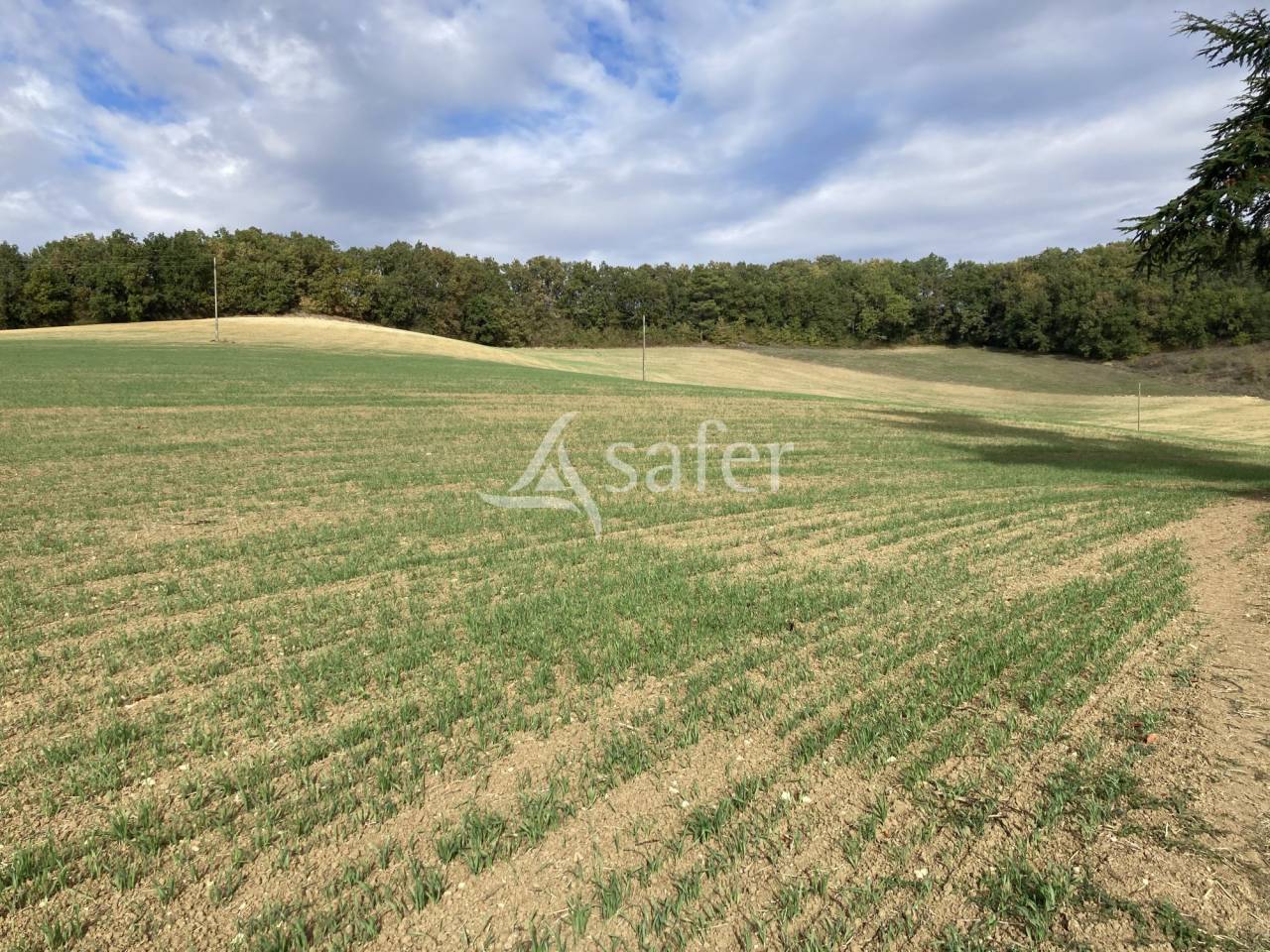 Hippisch vastgoed Koop Tarn-et-Garonne