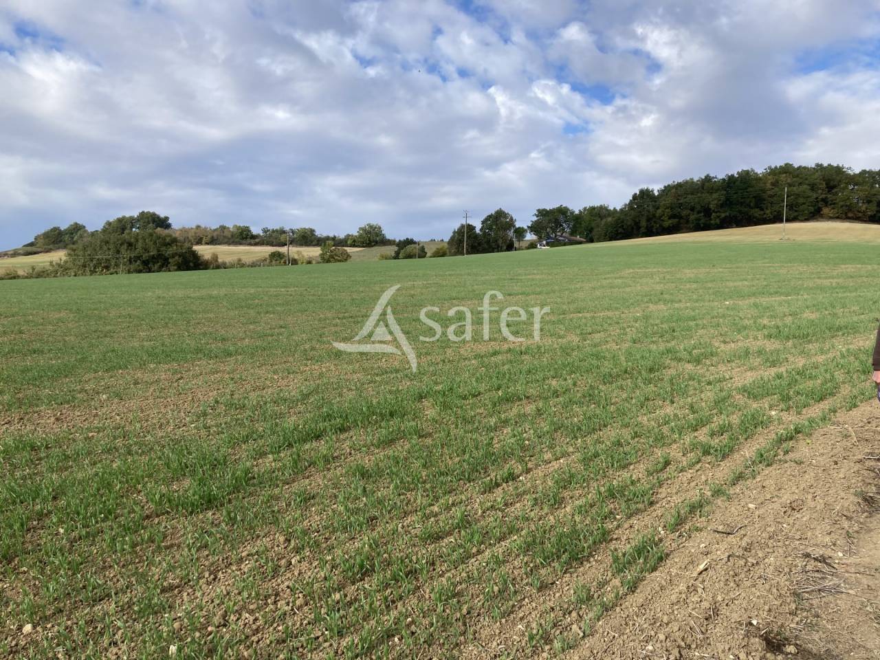 Hippisch vastgoed Koop Tarn-et-Garonne