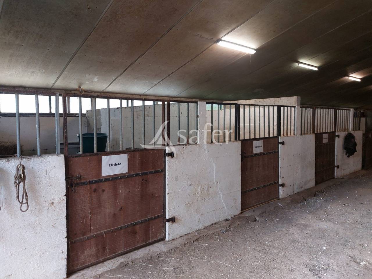 Hippisch vastgoed Koop Dordogne