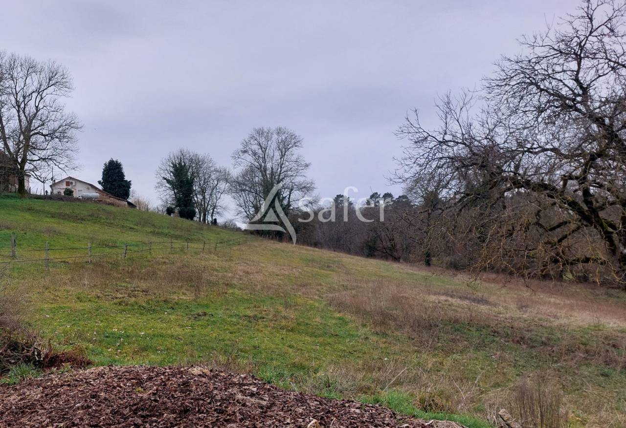 Hippisch vastgoed Koop Dordogne