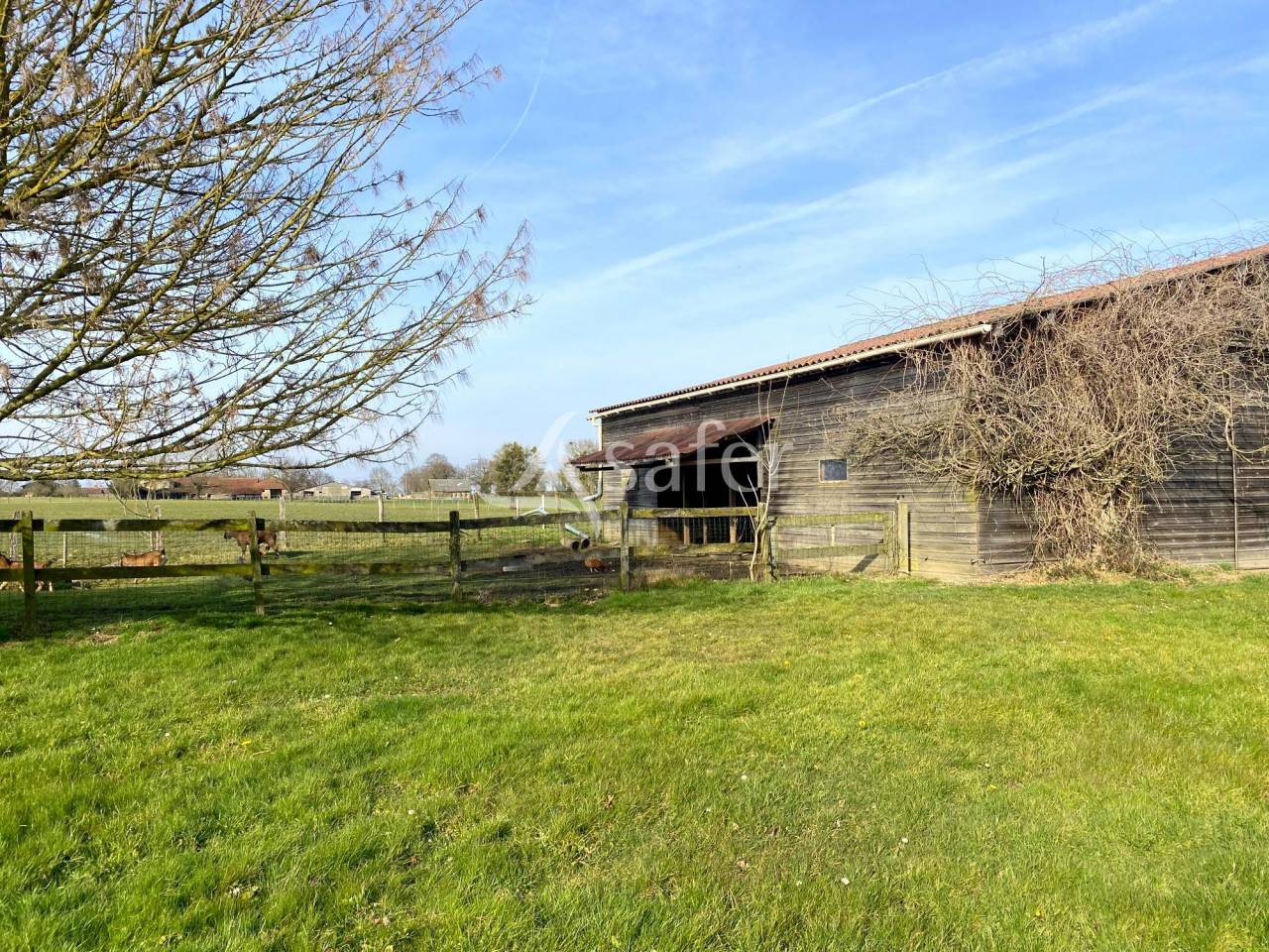 Hippisch vastgoed Koop Ain