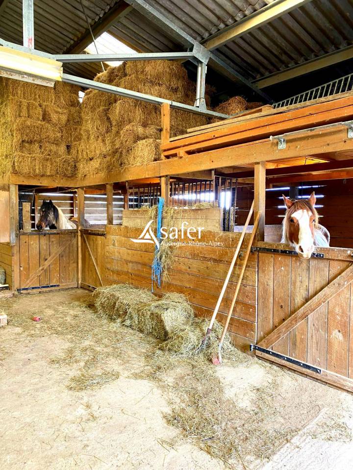 Hippisch vastgoed Koop Ain