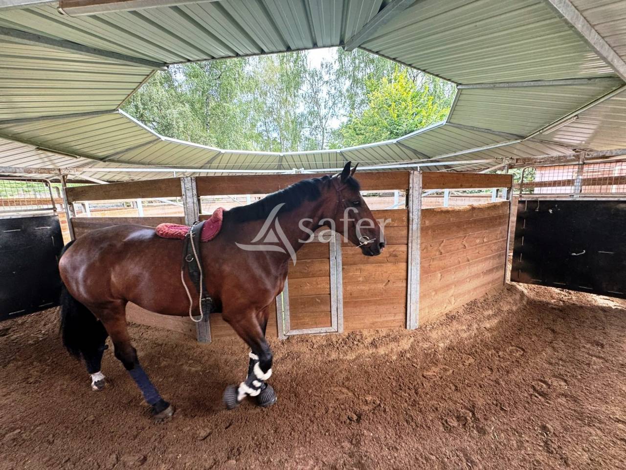 Hippisch vastgoed Koop Seine-et-Marne