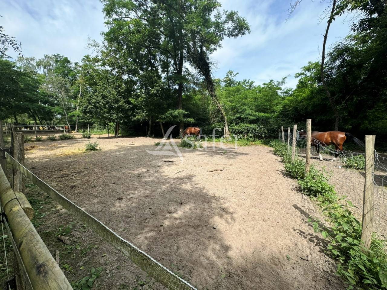 Hippisch vastgoed Koop Seine-et-Marne