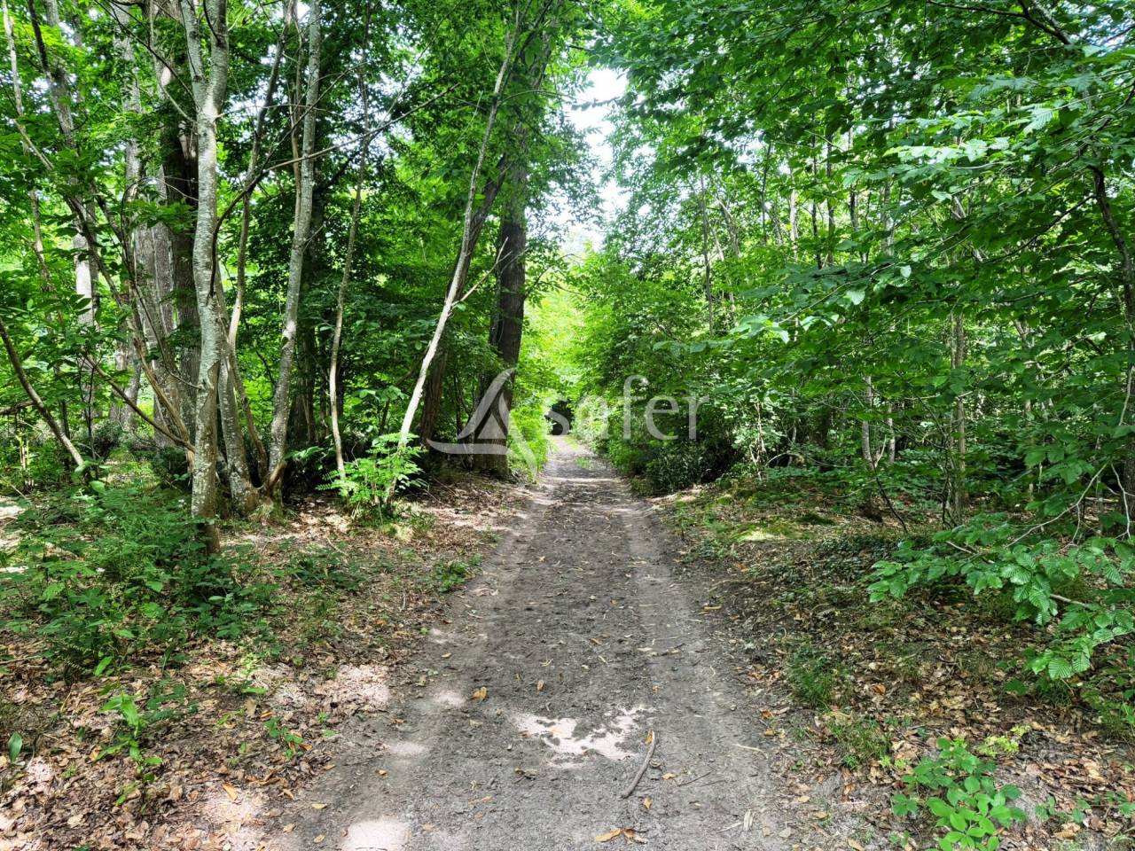 Hippisch vastgoed Koop Seine-et-Marne