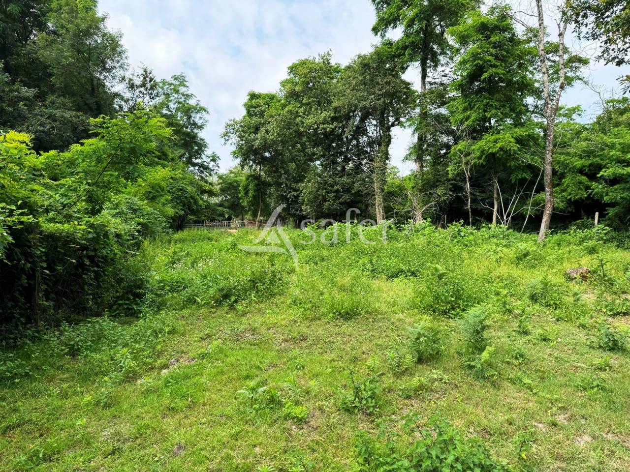Hippisch vastgoed Koop Seine-et-Marne