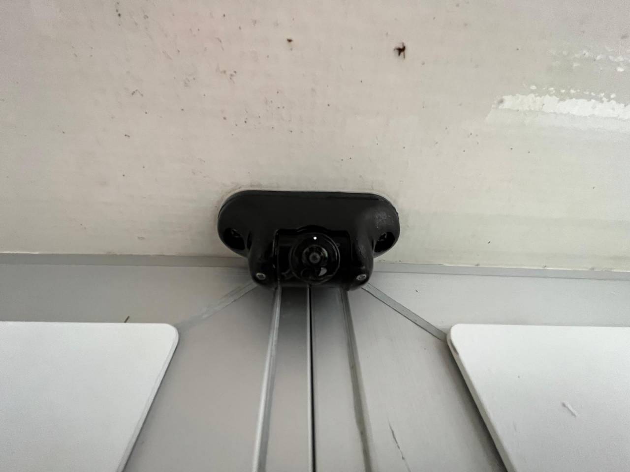 Kleine paardenvrachtwagen (B rijbewijs) STX STX 2021 Tweedehands