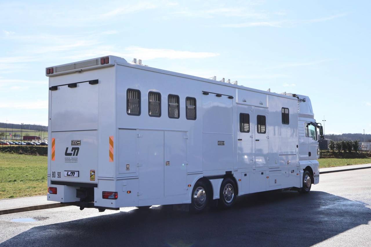 Zware paardenvrachtwagen (groot rijbewijs) Andere merken MAN TGA 26.430 JL POP OUT 2007 Tweedehands