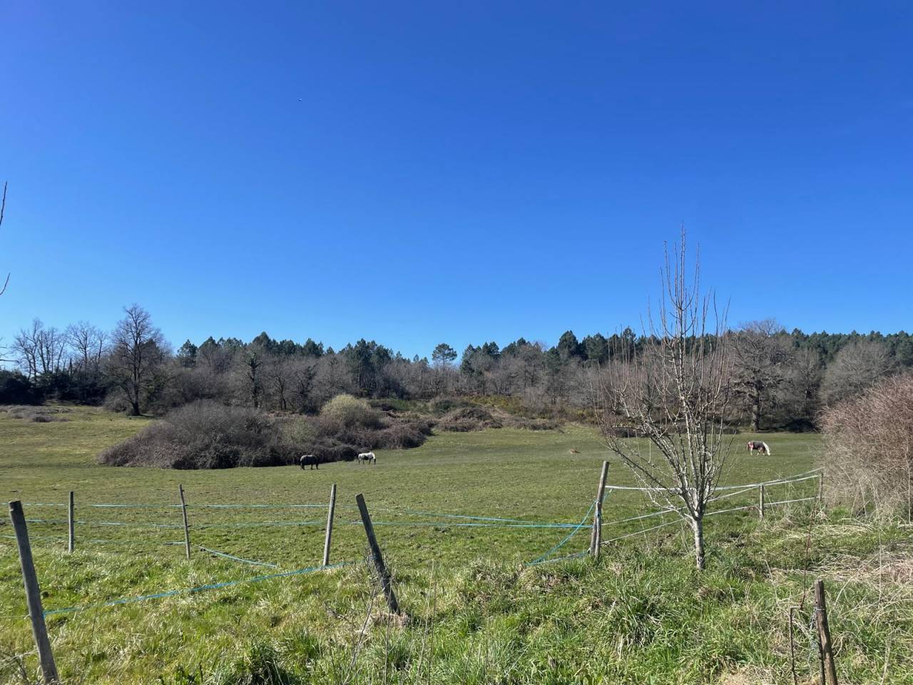 Hippisch vastgoed Koop Charente-Maritime