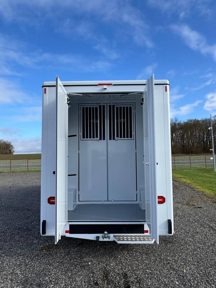 Kleine paardenvrachtwagen (B rijbewijs) TBST Renault Master 2025 Nieuw