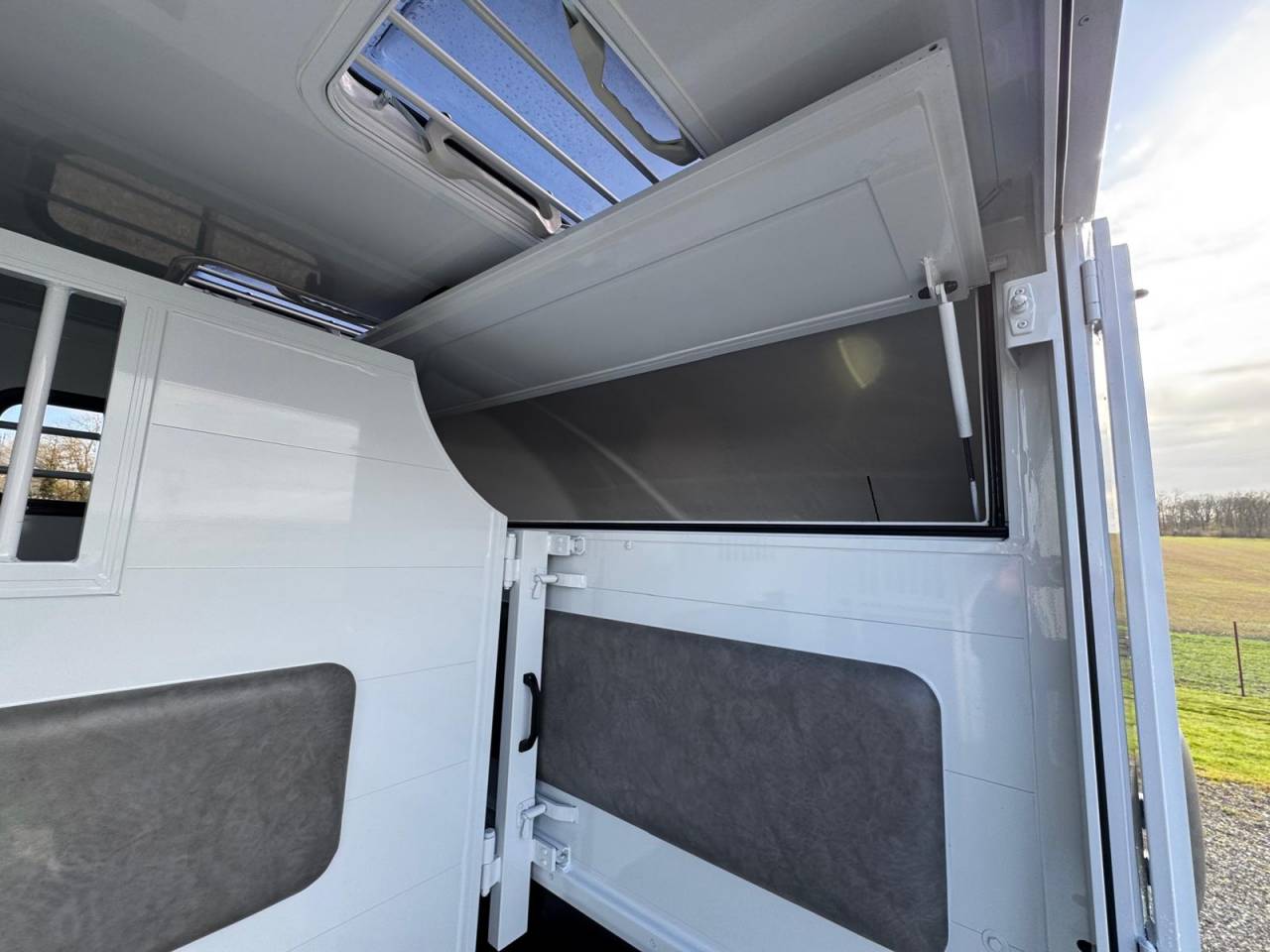 Kleine paardenvrachtwagen (B rijbewijs) TBST Renault Master 2025 Nieuw