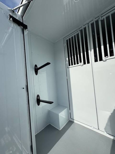 Kleine paardenvrachtwagen (B rijbewijs) TBST Renault Master 2025 Nieuw