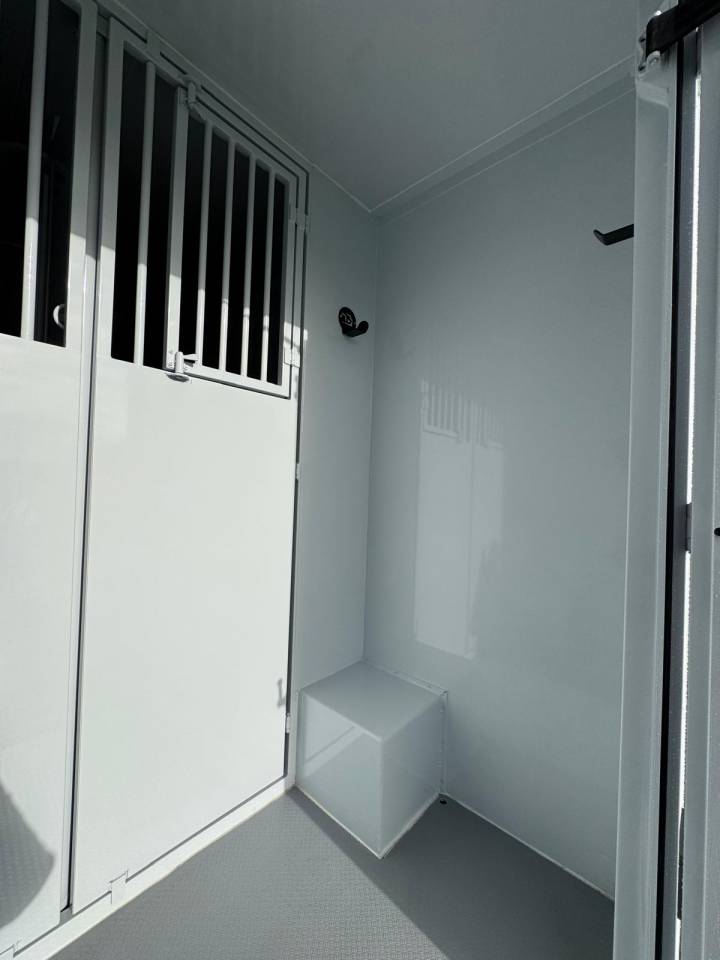 Kleine paardenvrachtwagen (B rijbewijs) TBST Renault Master 2025 Nieuw