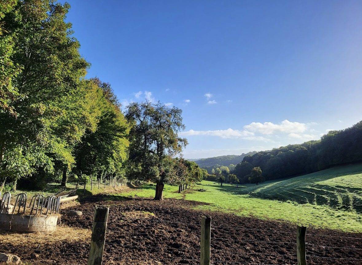 Hippisch vastgoed Koop Calvados