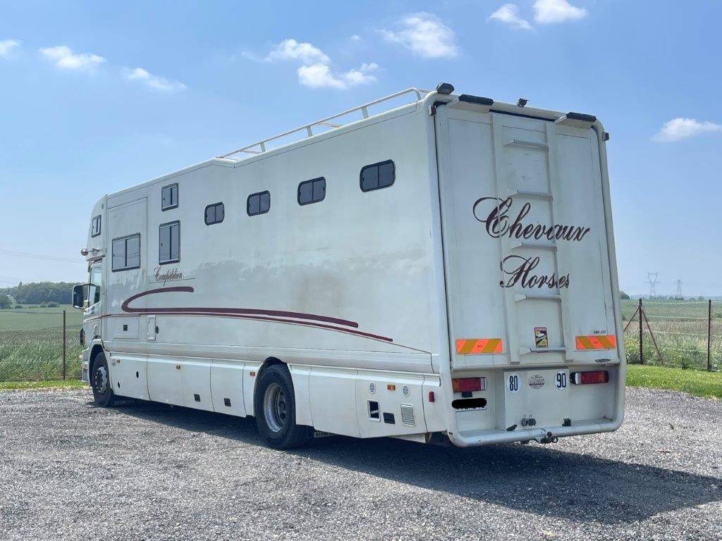 Zware paardenvrachtwagen (groot rijbewijs) Scania Donguy 2001 Tweedehands