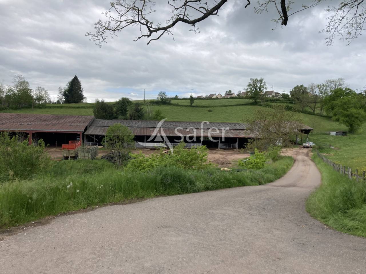 Schapen exploitatie Koop Saône-et-Loire