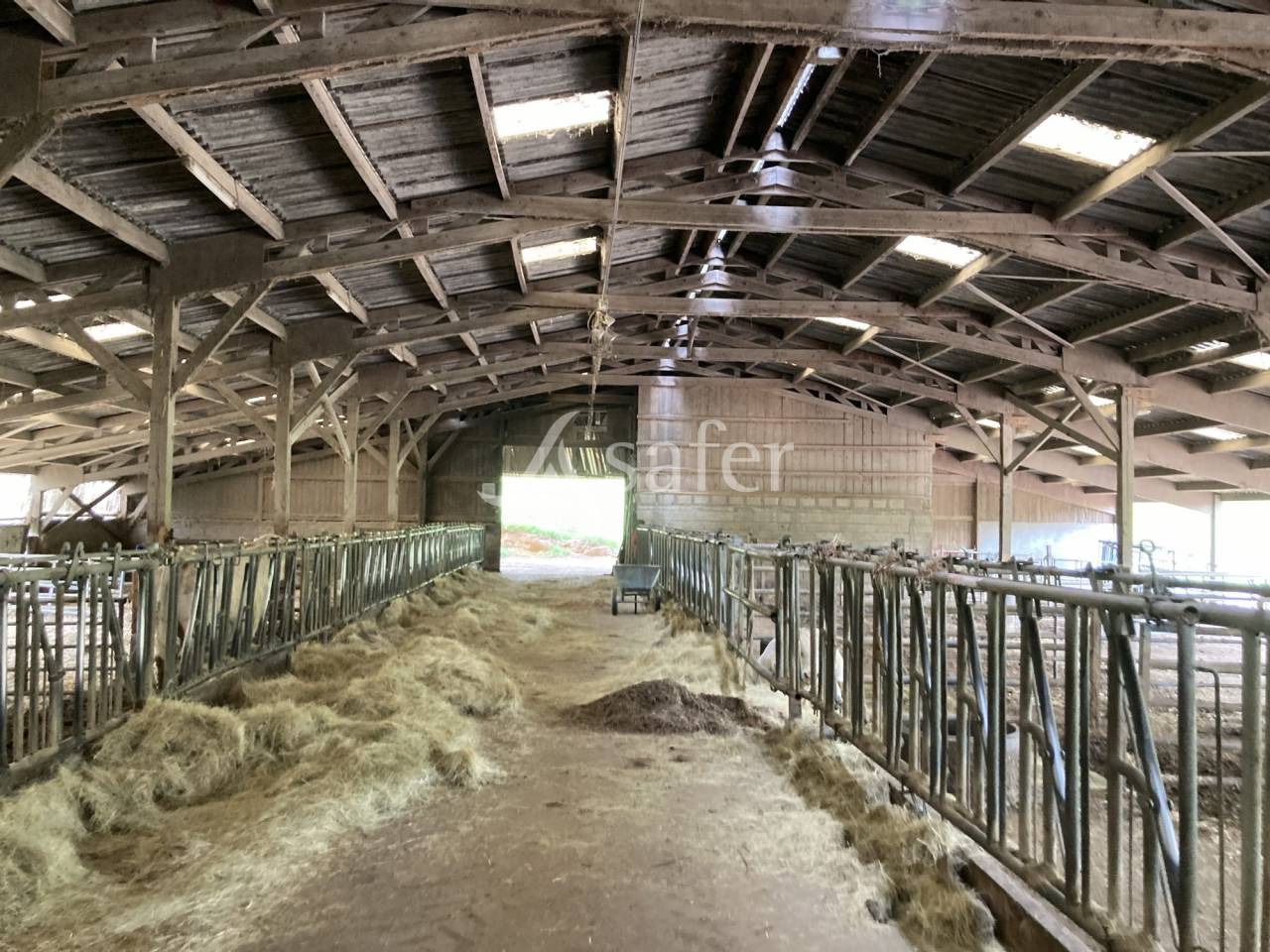 Schapen exploitatie Koop Saône-et-Loire