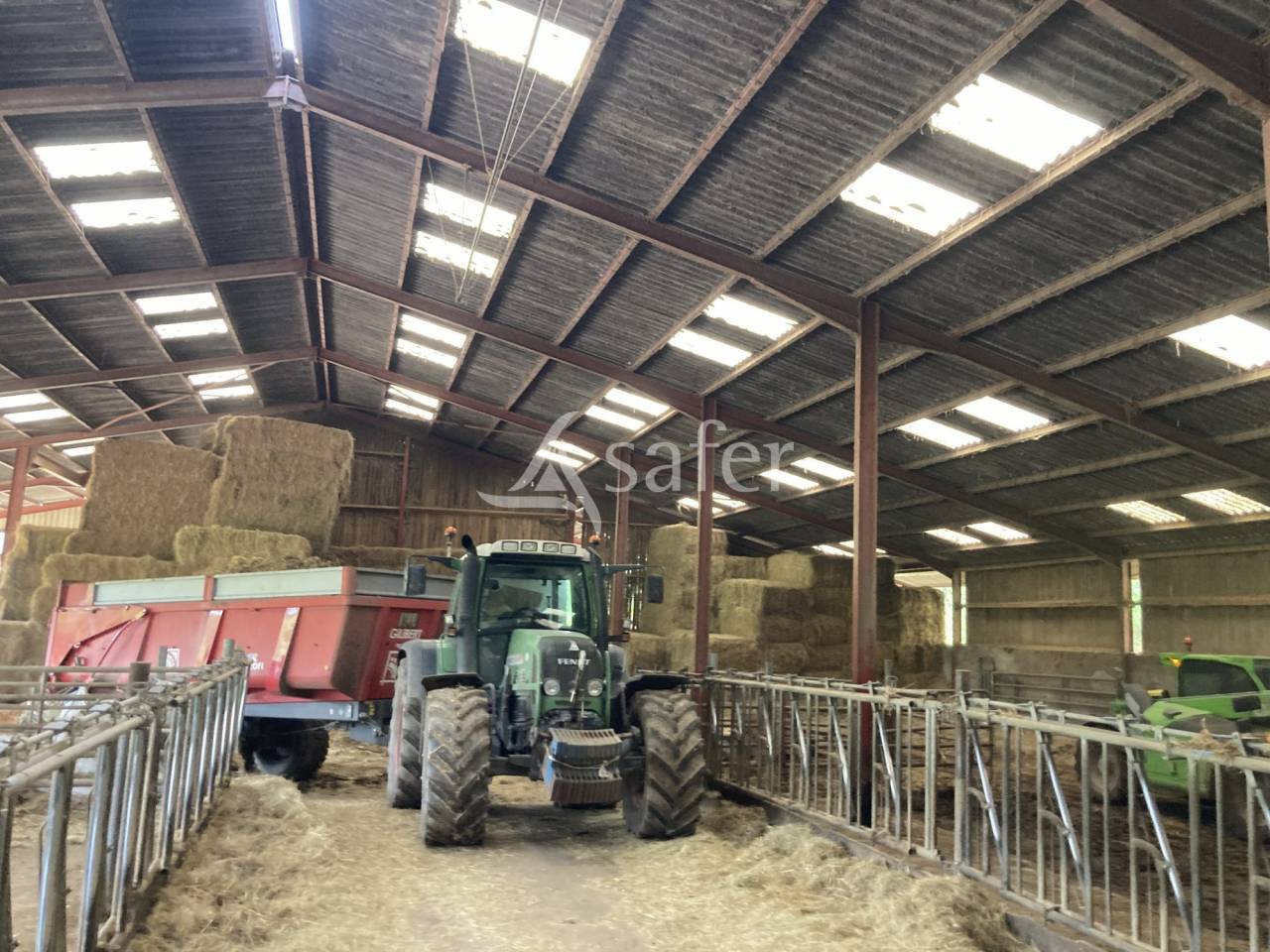 Schapen exploitatie Koop Saône-et-Loire