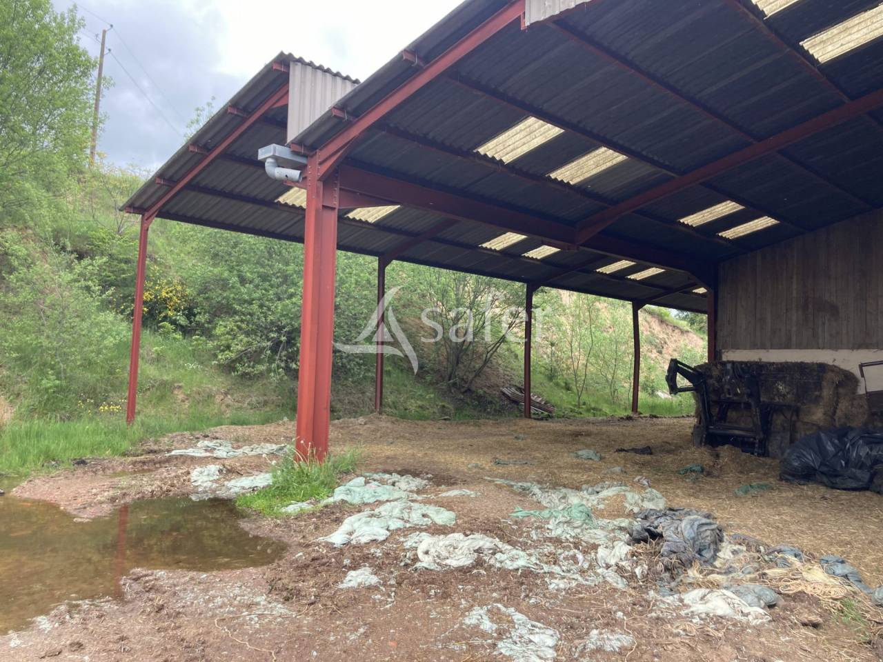 Schapen exploitatie Koop Saône-et-Loire