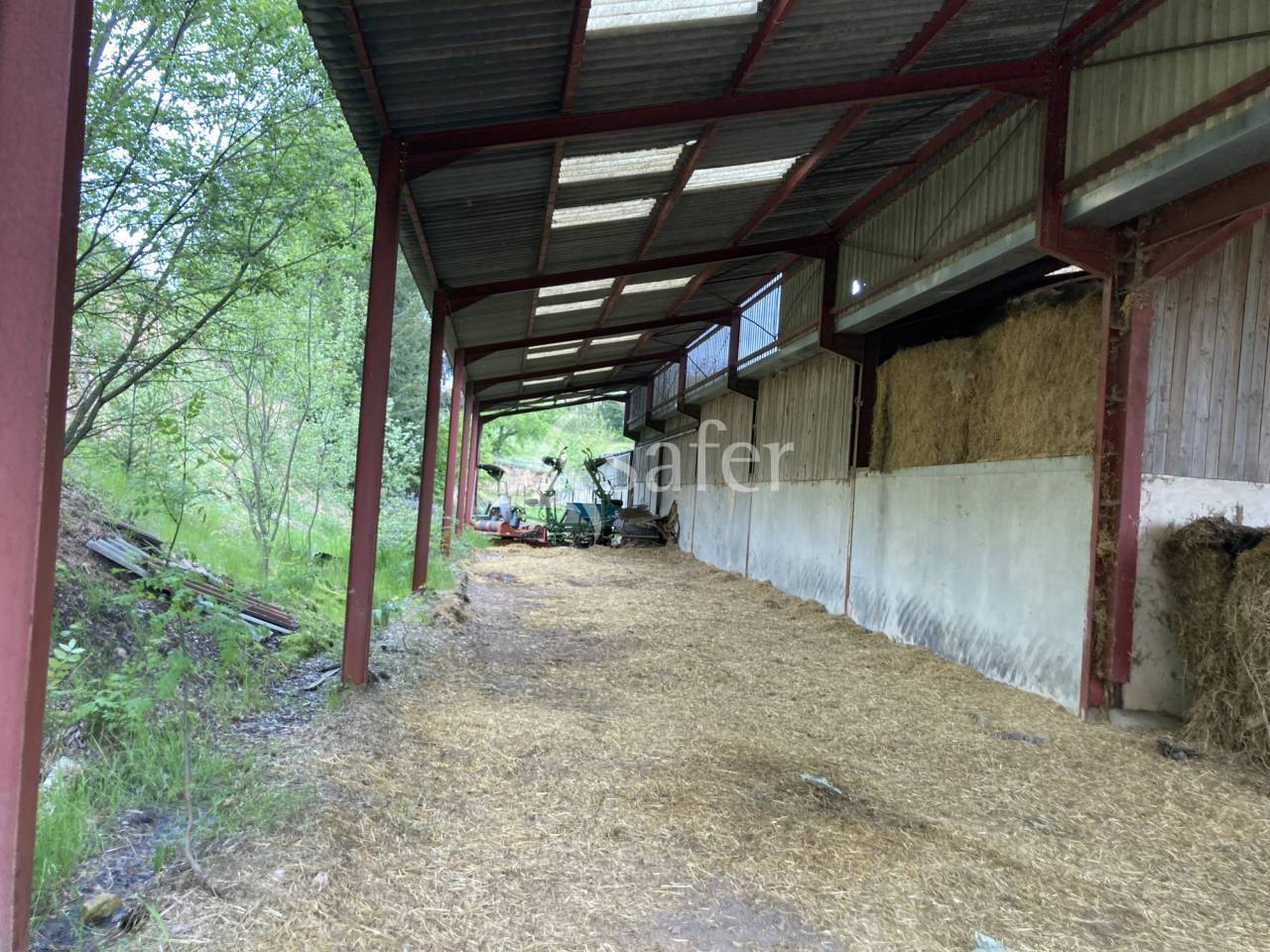 Schapen exploitatie Koop Saône-et-Loire