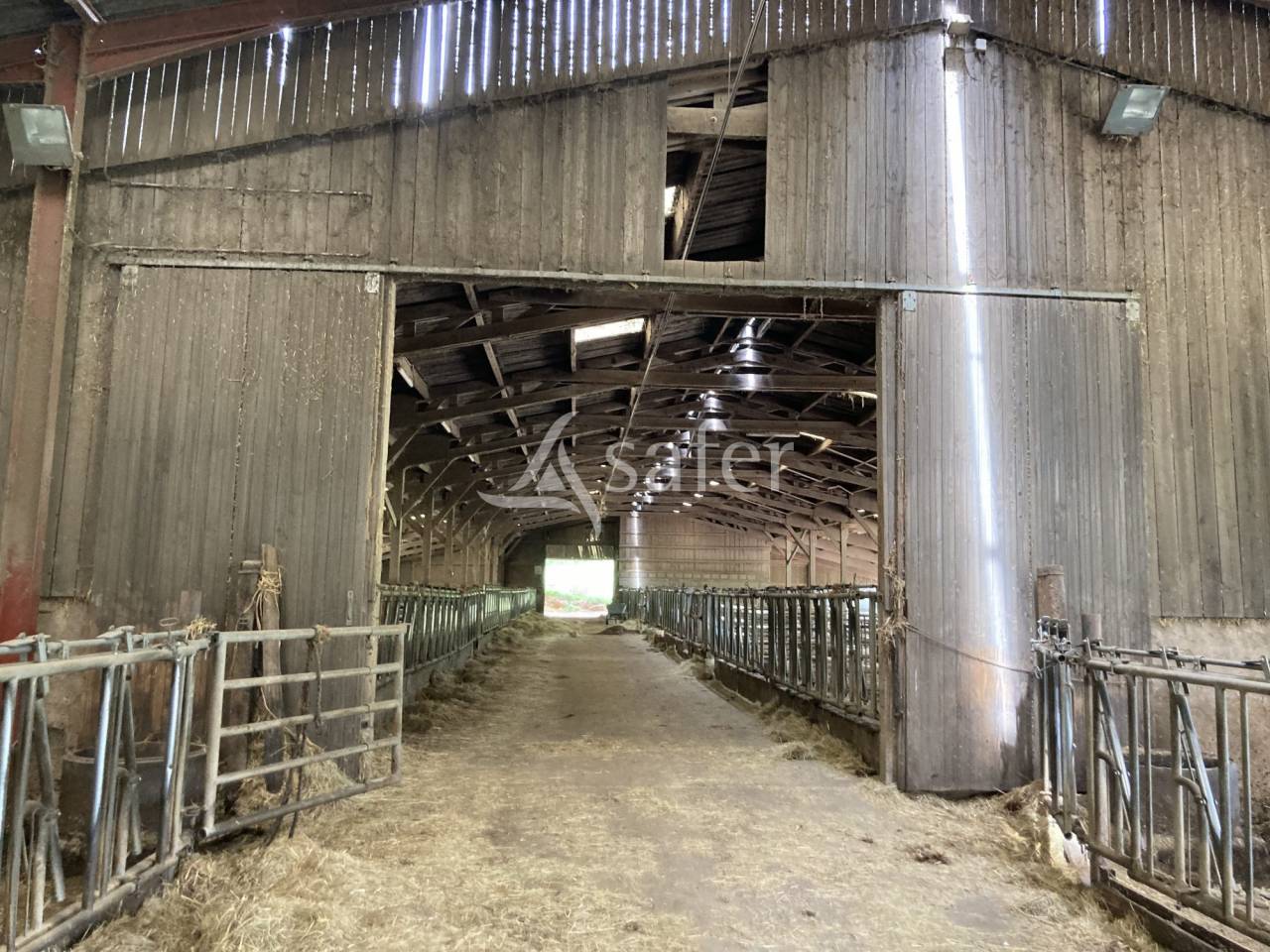 Schapen exploitatie Koop Saône-et-Loire