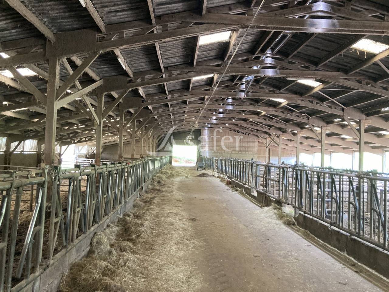 Schapen exploitatie Koop Saône-et-Loire