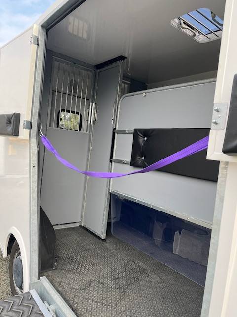 Kleine paardenvrachtwagen (B rijbewijs) AP Petit Master 2021 2021 Tweedehands